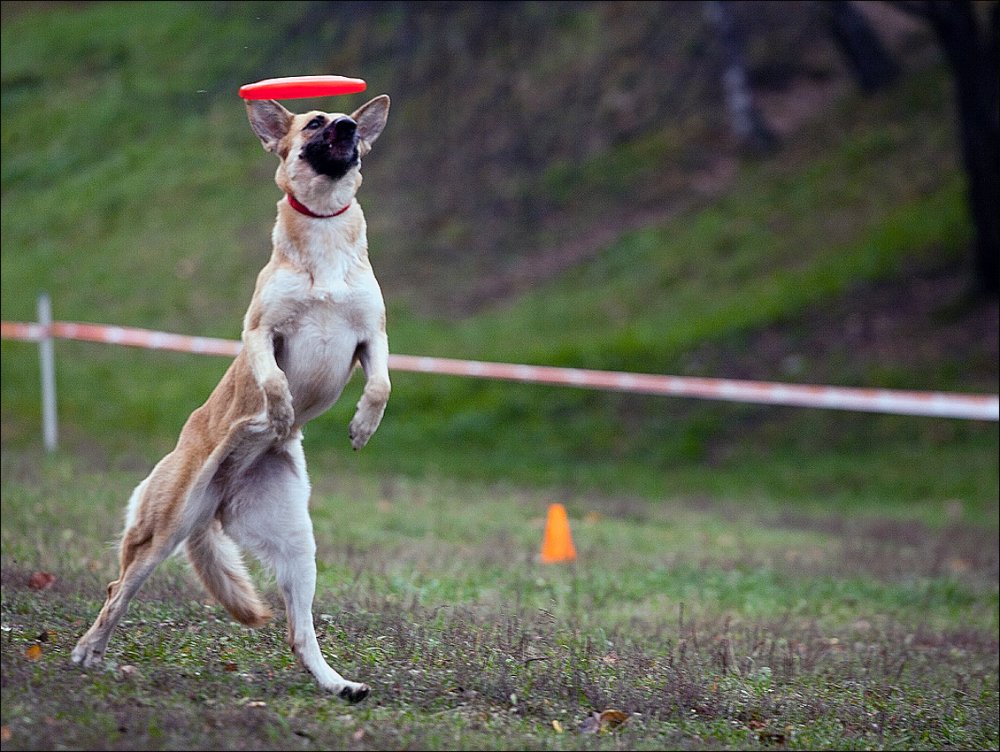 Photograph by Валерий Зарайсько