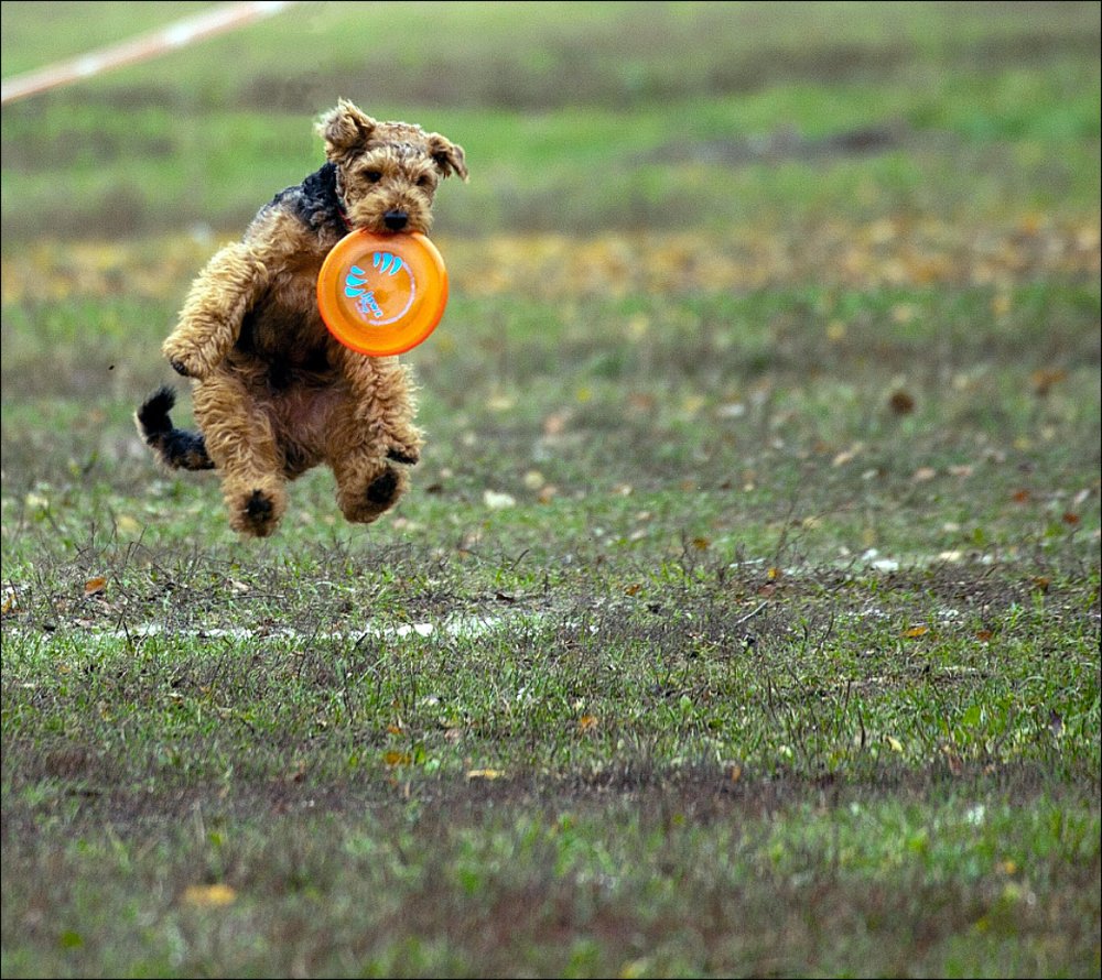 Photograph by Валерий Зарайсько