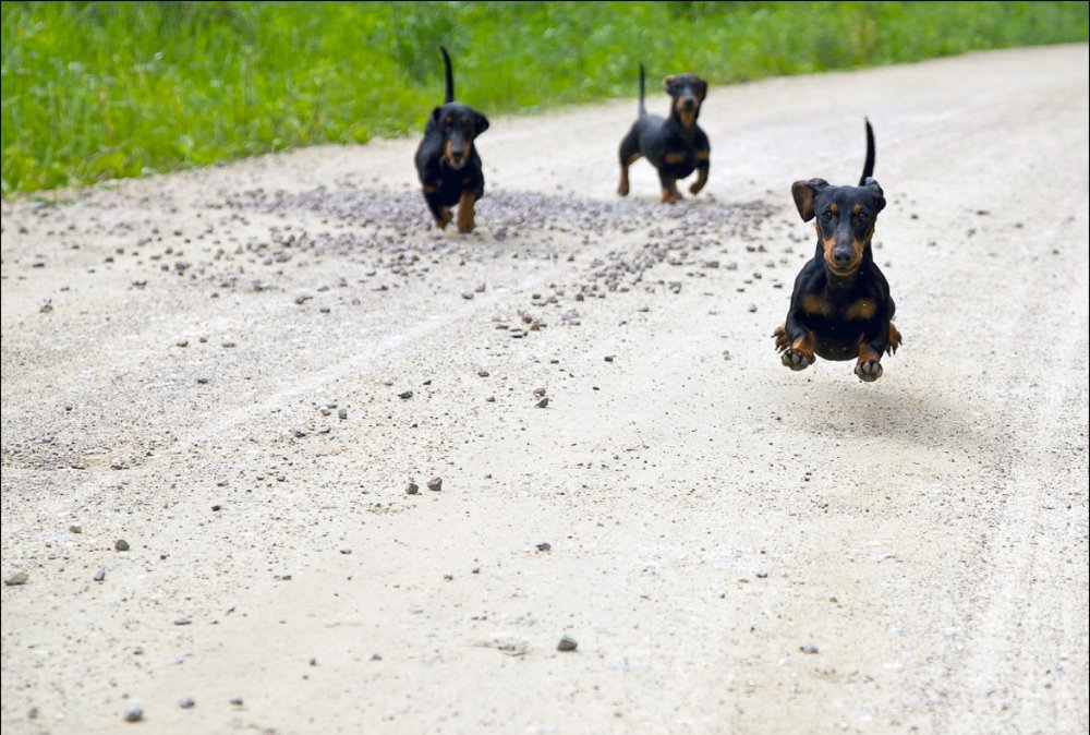 Photograph by Валерий Зарайсько