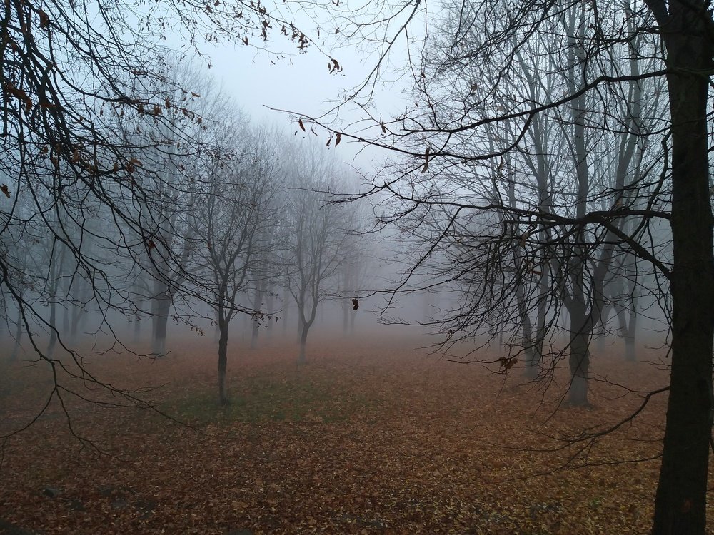 Photograph by Марина Сорокина