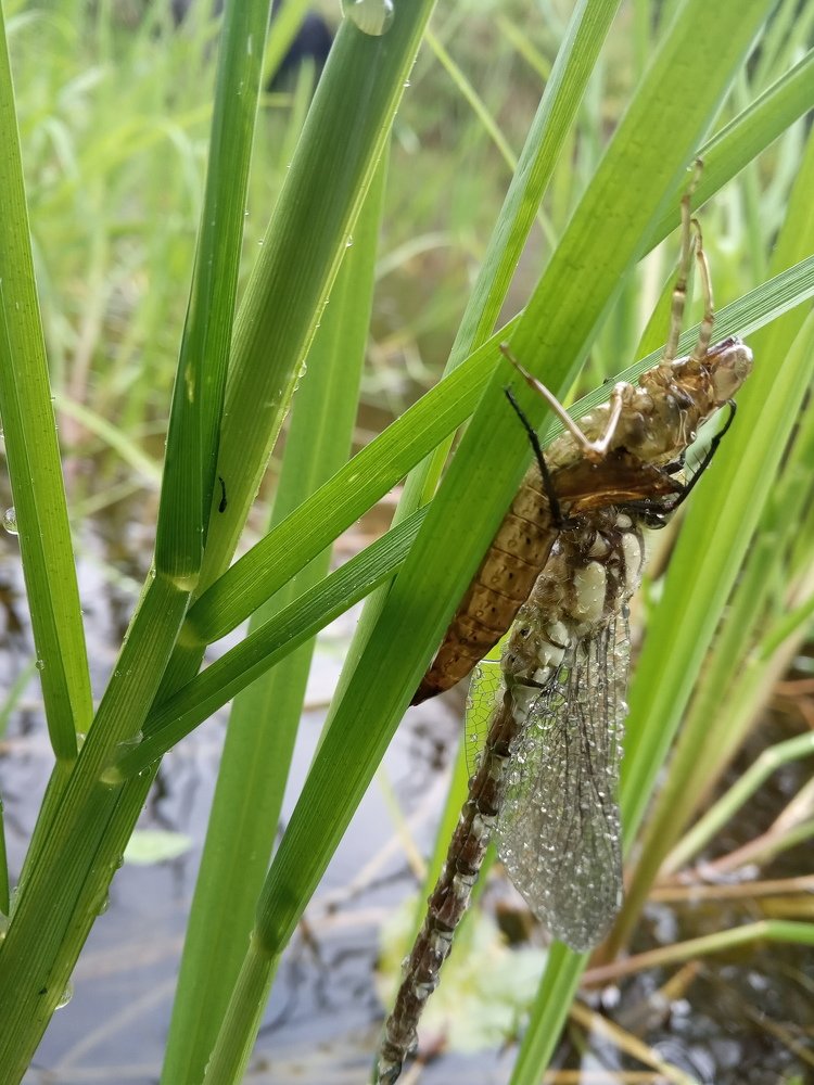 Photograph by Любовь Шаврина