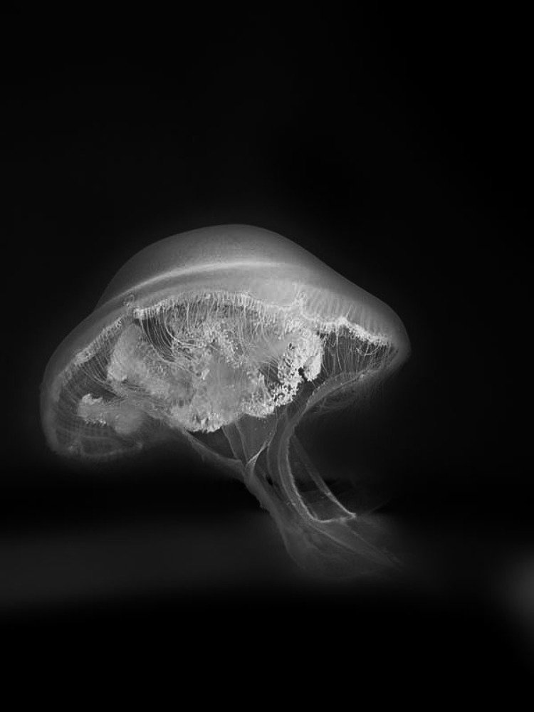 Фотография автора Зоя Малхова