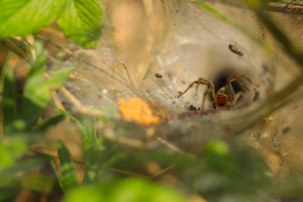 Подольше посижу, побольше наловлю!
