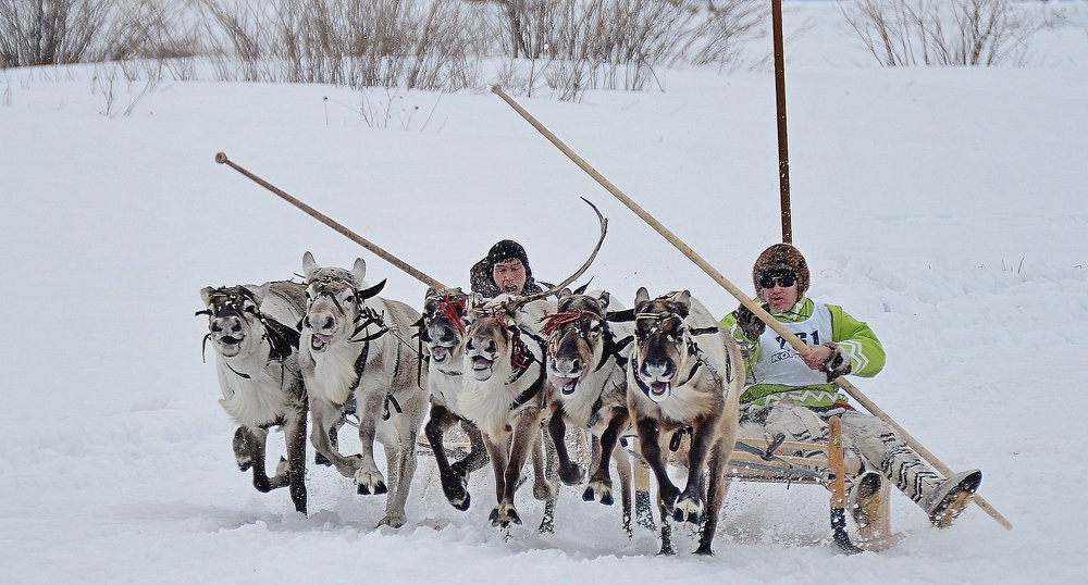 Буквально-ноздря в ноздрю.