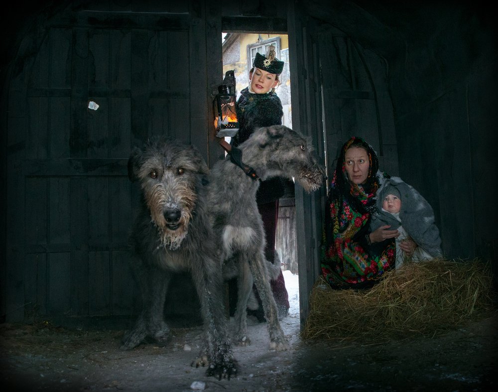 Фотография автора игорь перфильев