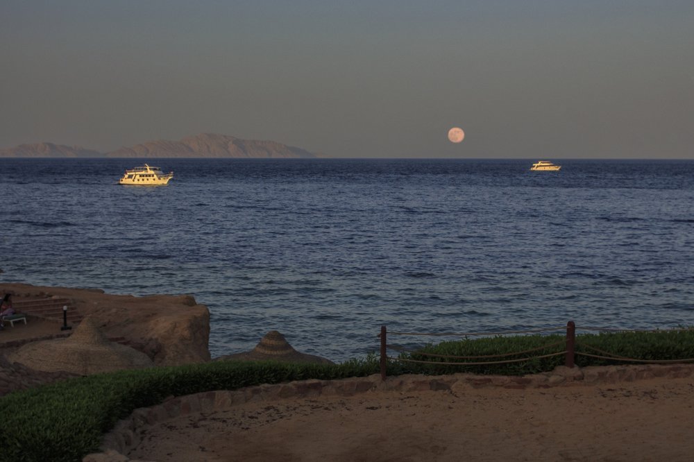 Photograph by Ирина Приходько