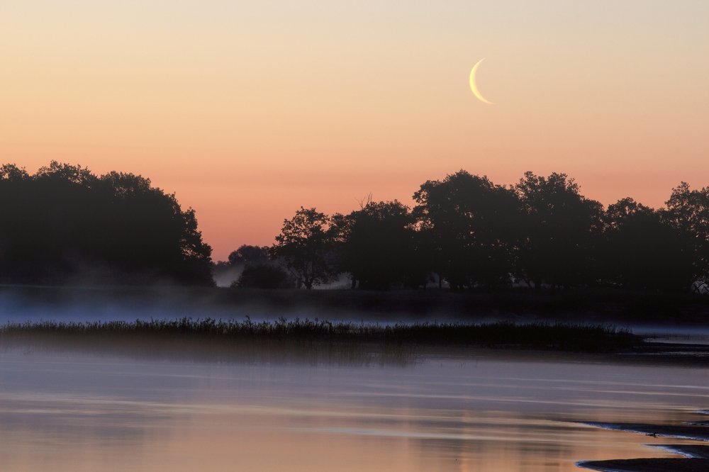 Photograph by Ирина Приходько