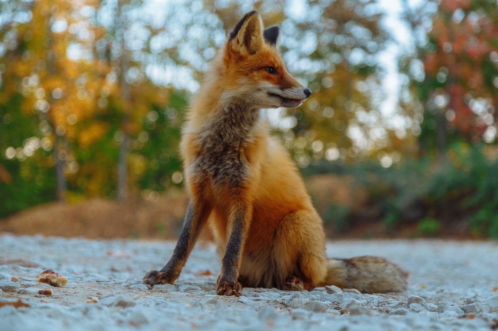 Photograph by Алексей Лунин