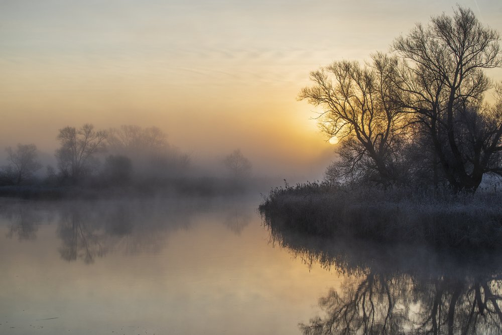 Photograph by Дмитрий Новоселов