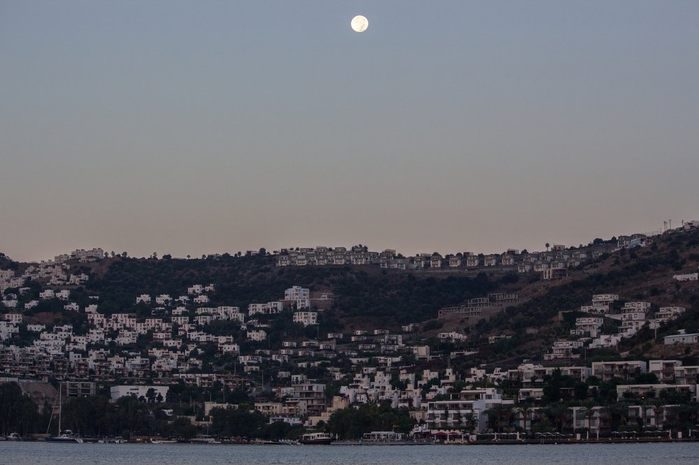 Photograph by Ирина Приходько