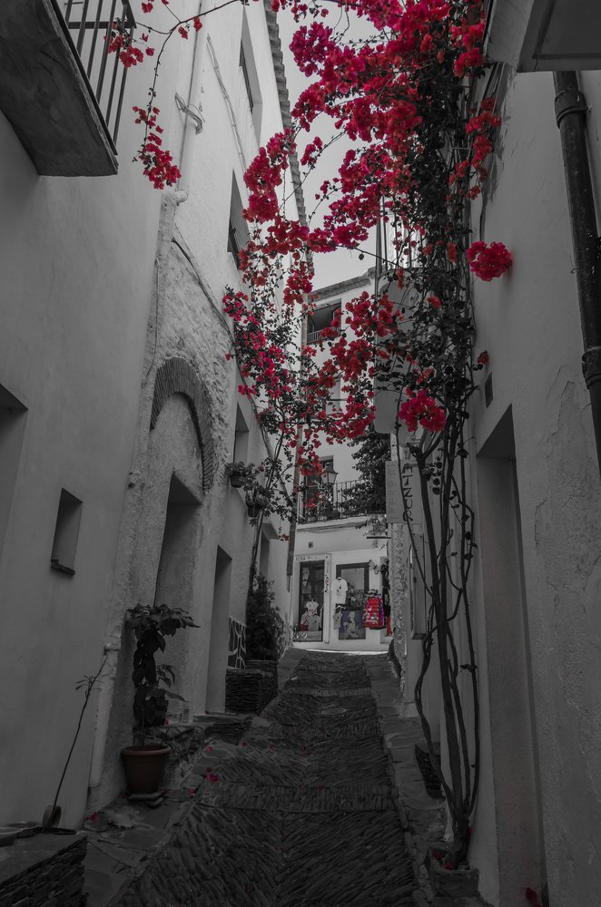 Photograph by 