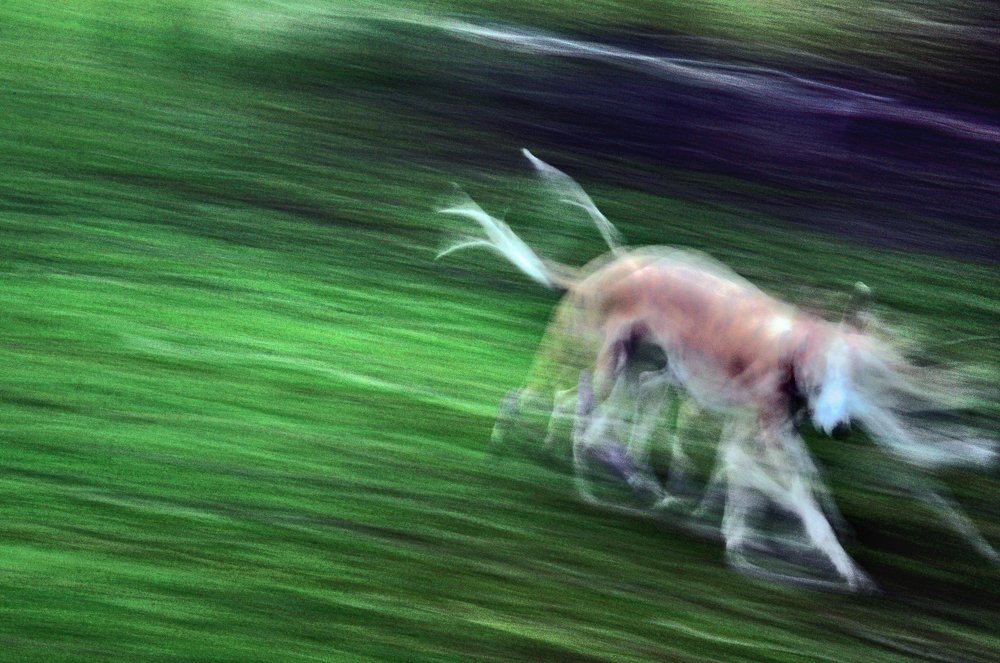 Photograph by Валентин