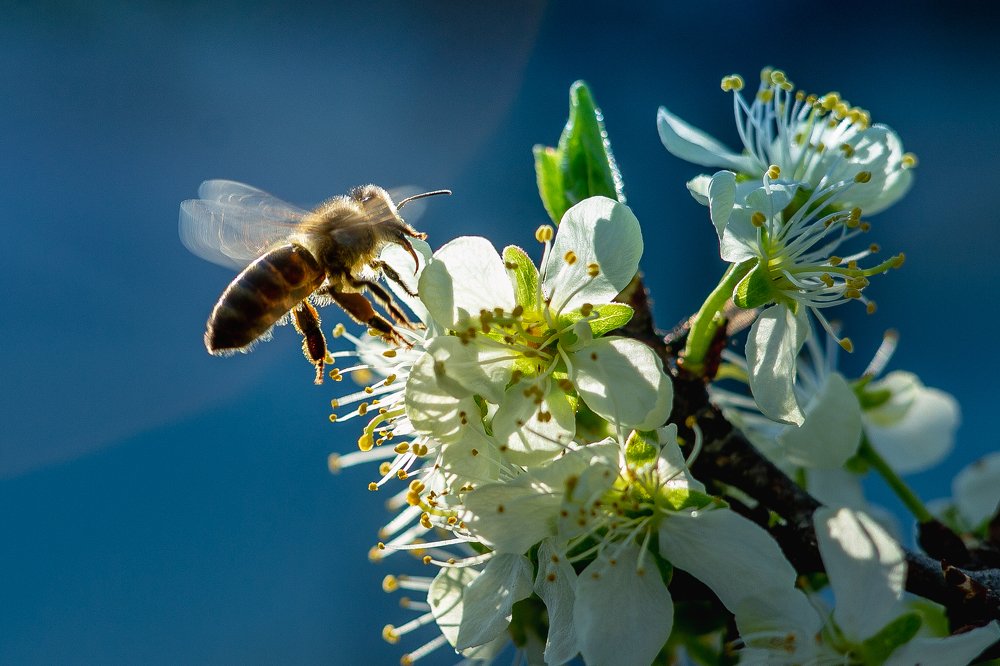 Попробуем что-тут?