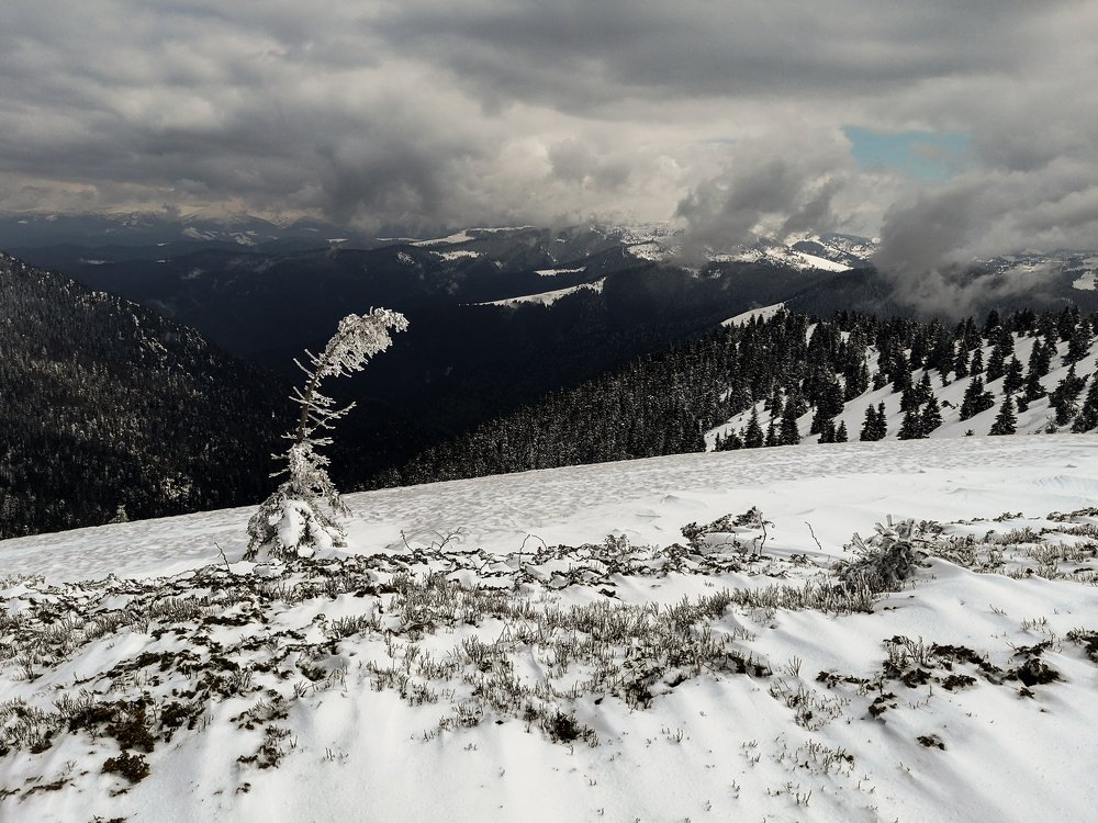 Photograph by Николай Ментюк