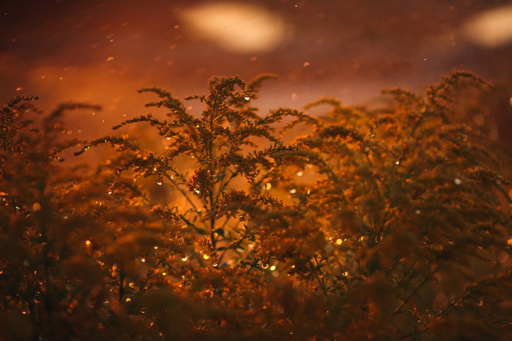 Photograph by Ирина Назарова