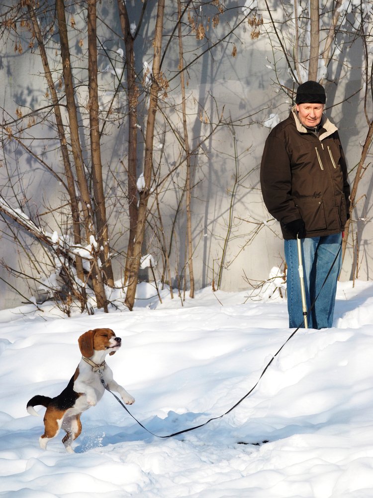 Photograph by Елена Ржевская