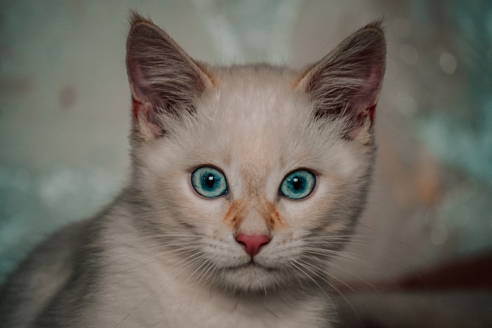 Photograph by Сергей Гусев