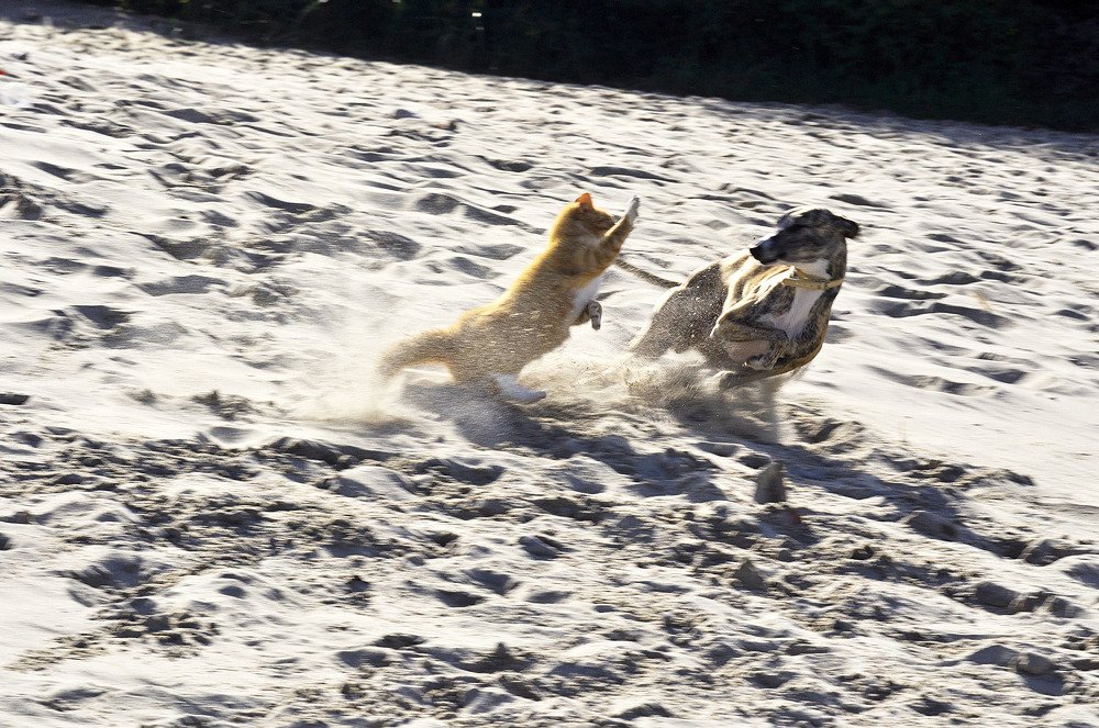 Photograph by Валентин