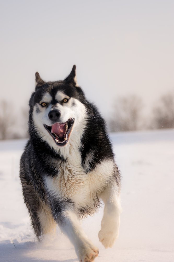 Photograph by Martin Novak