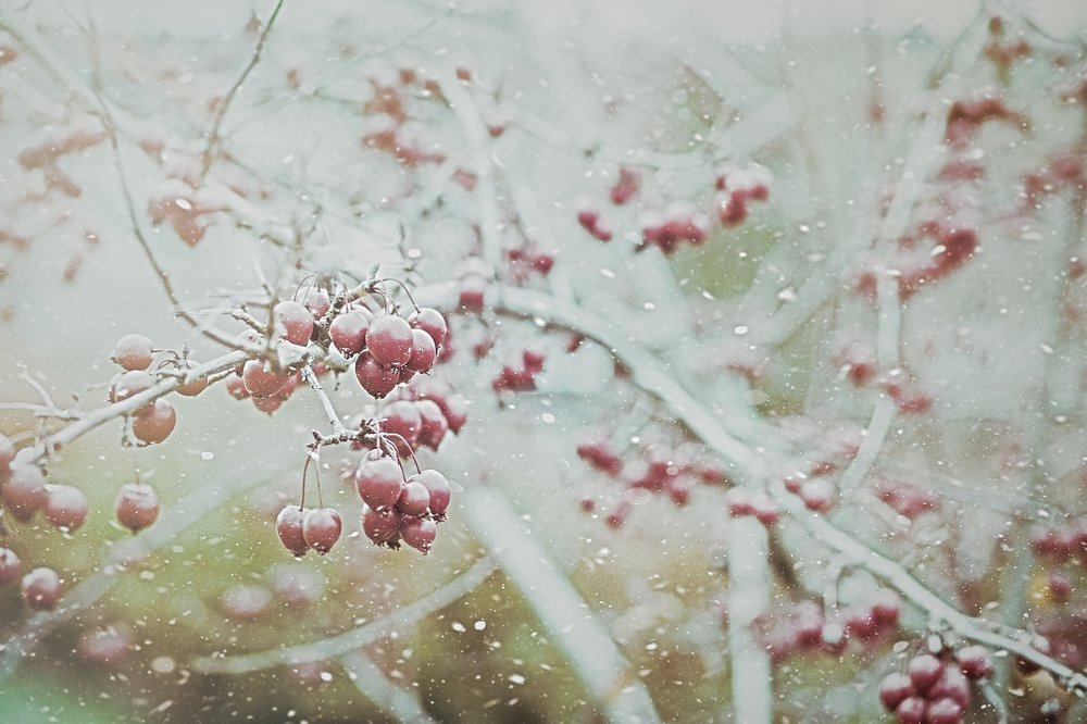 Photograph by igor kostin