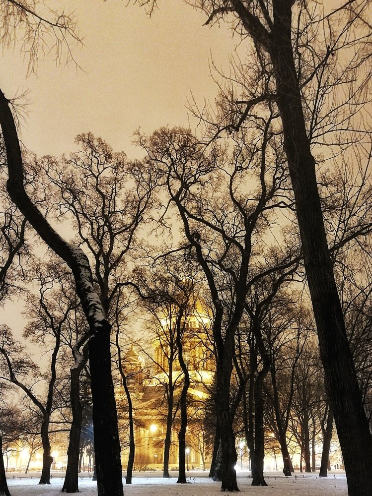 В Питере зимой белые ночи ...