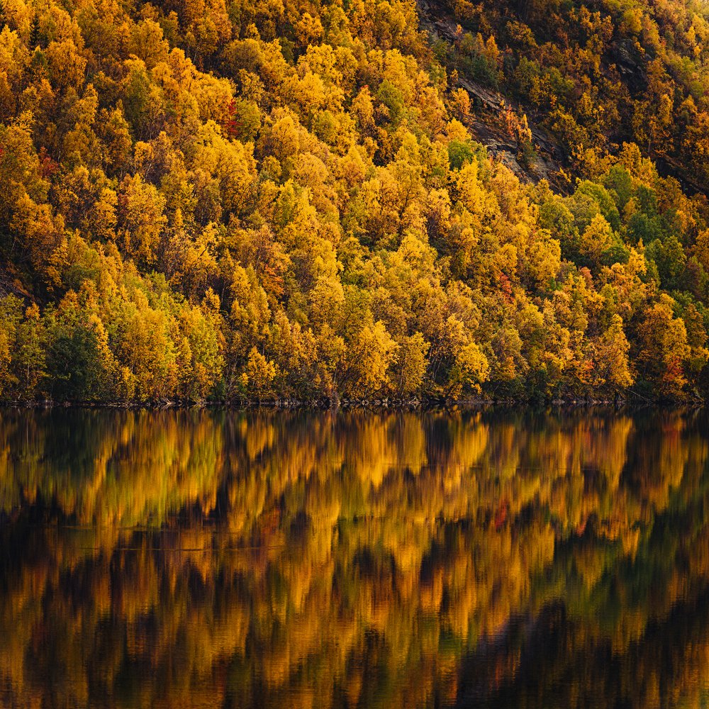 Photograph by igor kostin