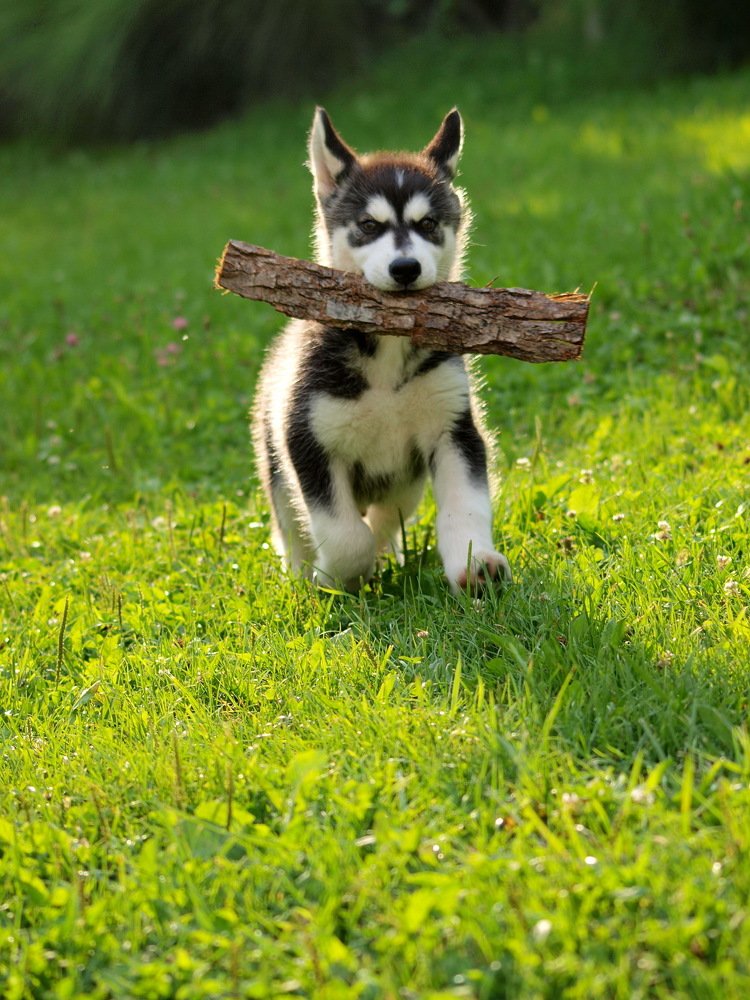 Photograph by Martin Novak