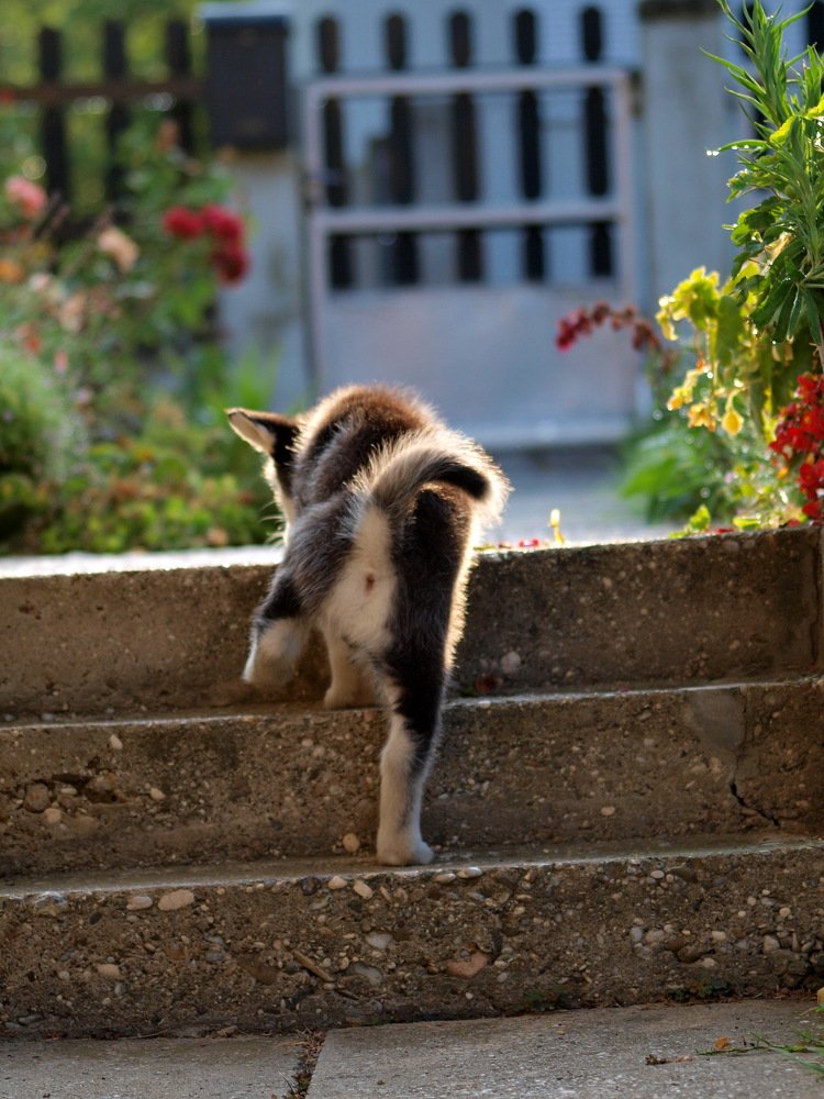 Photograph by Martin Novak