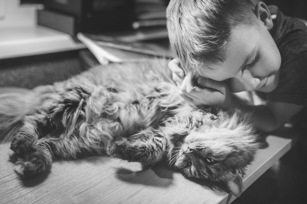 Photograph by Ирина Назарова