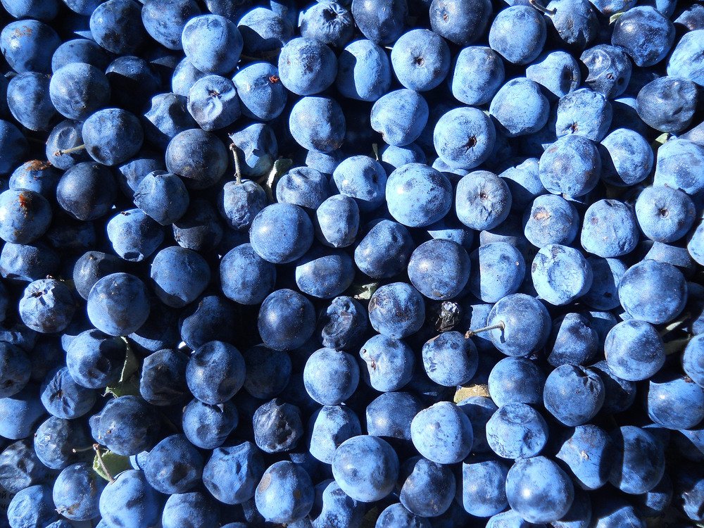 Photograph by Ирина Гайворонская