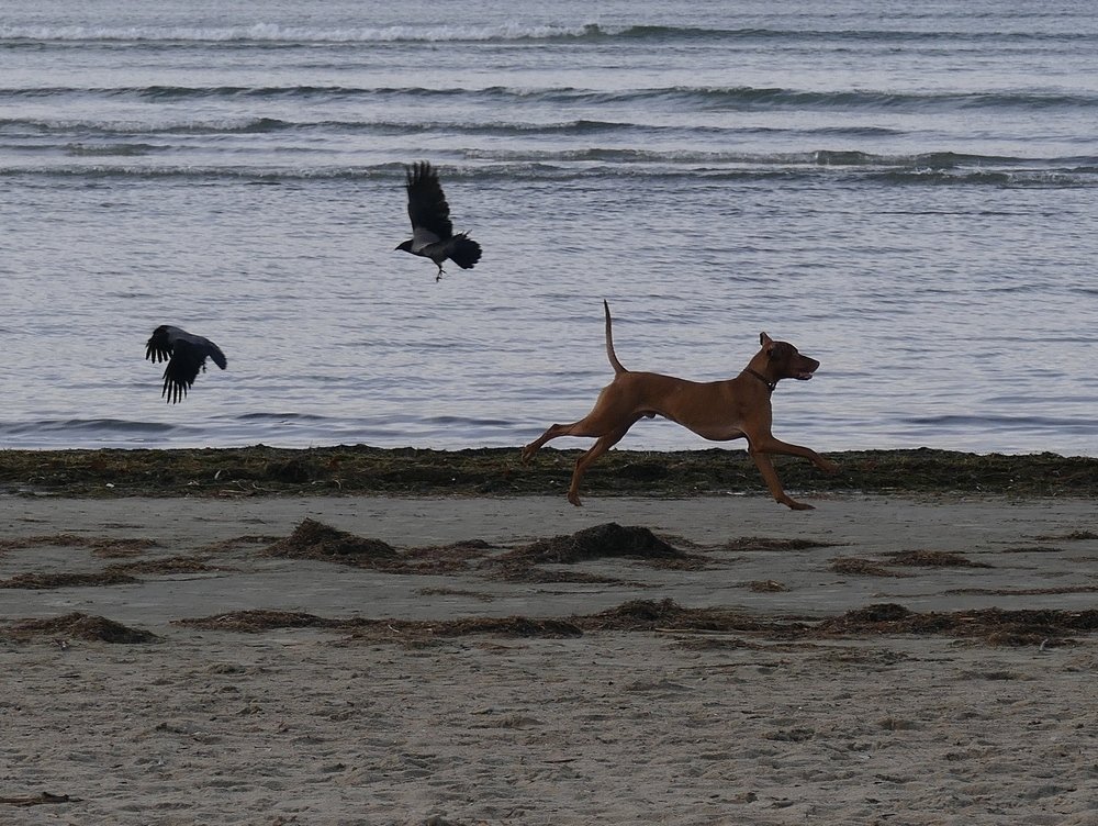 Photograph by Наталья