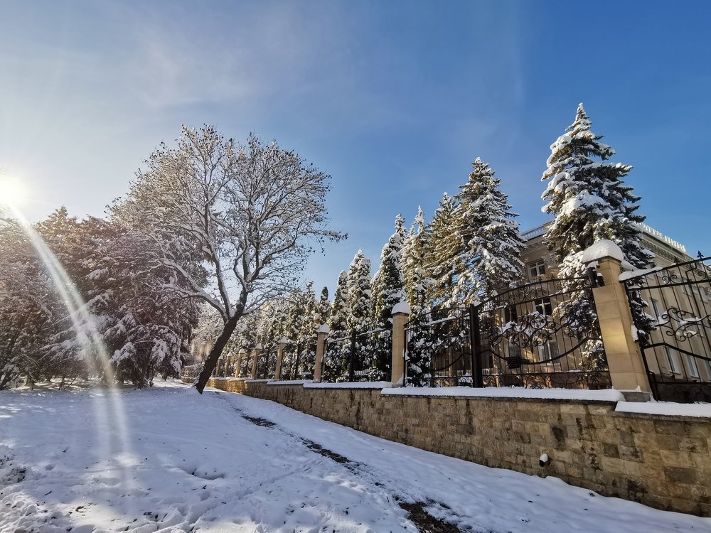 Photograph by Consuelo Sand