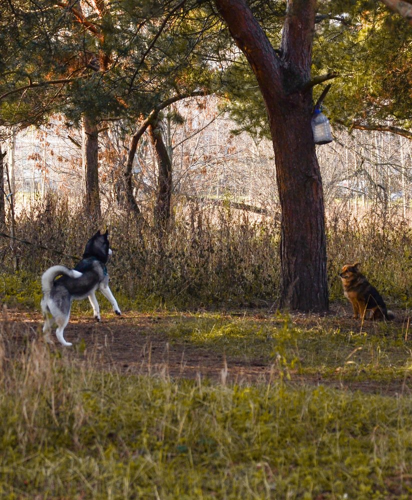 Photograph by Alena Shkurlakova