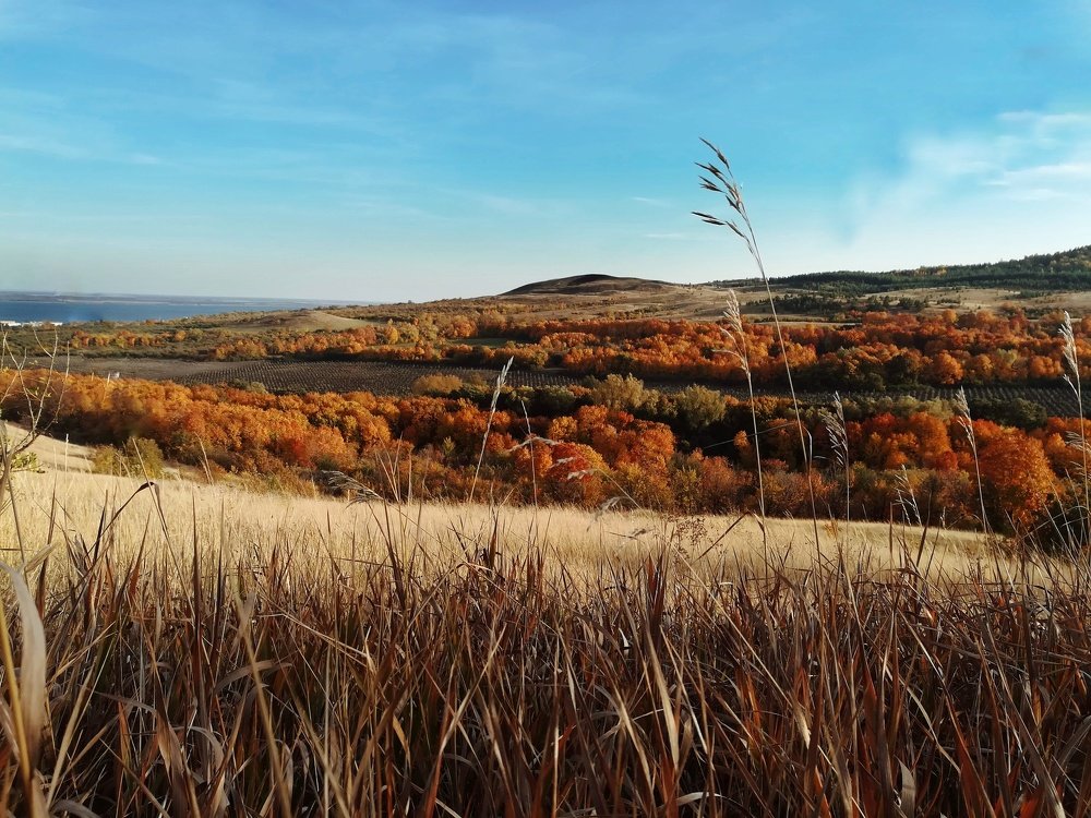 Photograph by Светлана Шибаршина