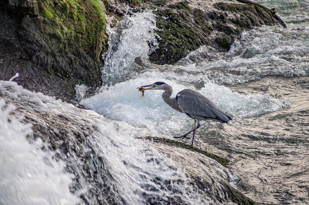 Photograph by Мария Ковалевская