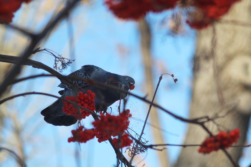 Фотография автора Дарина