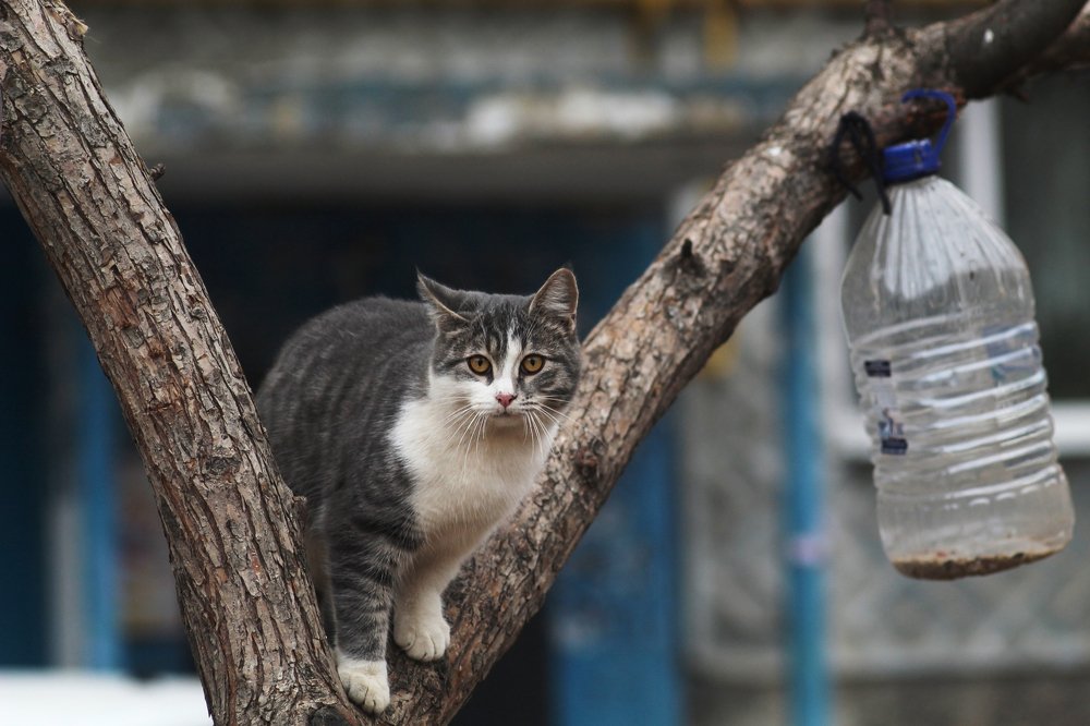 Фотография автора Дарина