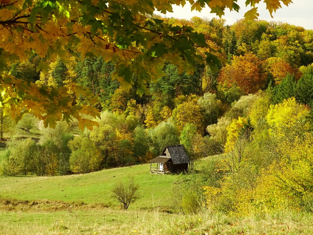 Фотография автора Remus Lucescu