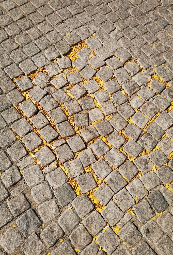 Photograph by Consuelo Sand