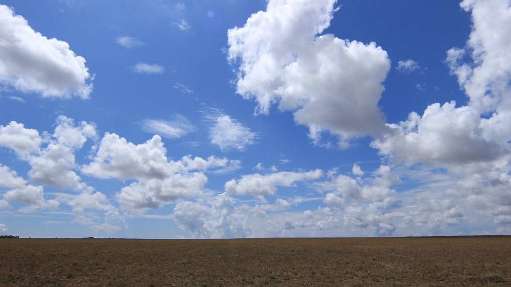 Photograph by Владимир Ясюкевич