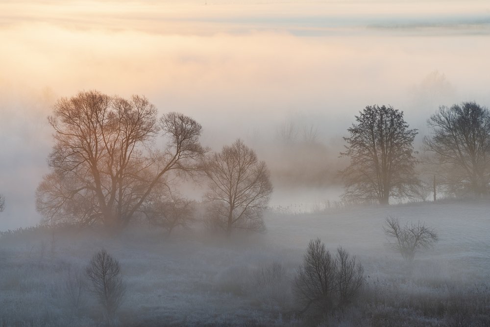 Photograph by Дмитрий Новоселов