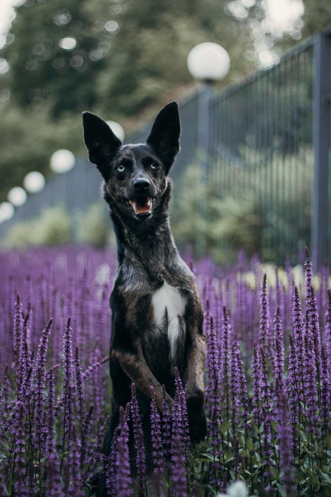 Photograph by Юлия