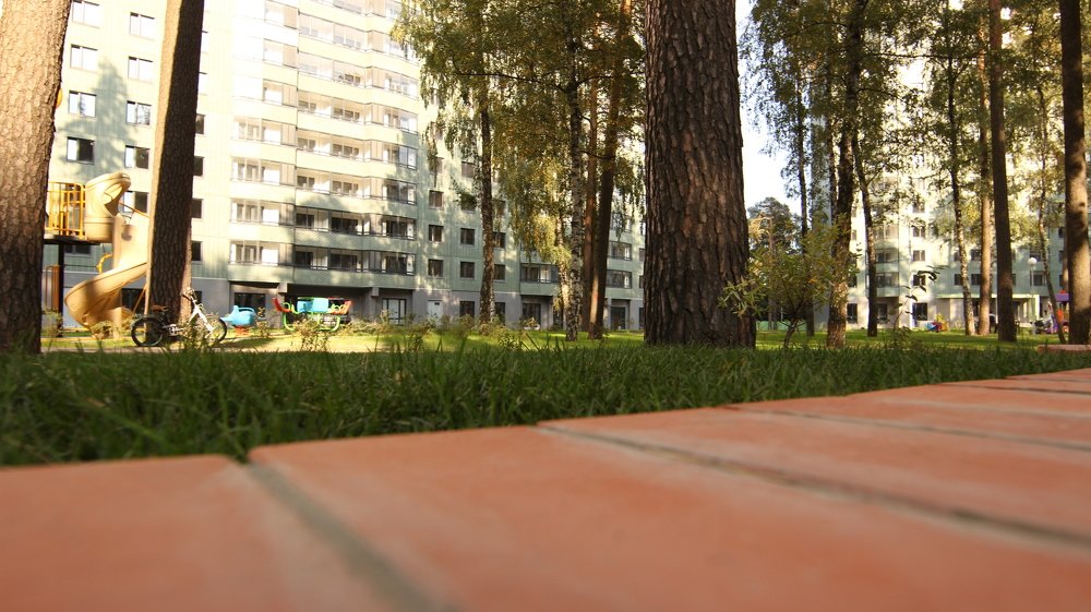 Photograph by Владимир Ясюкевич