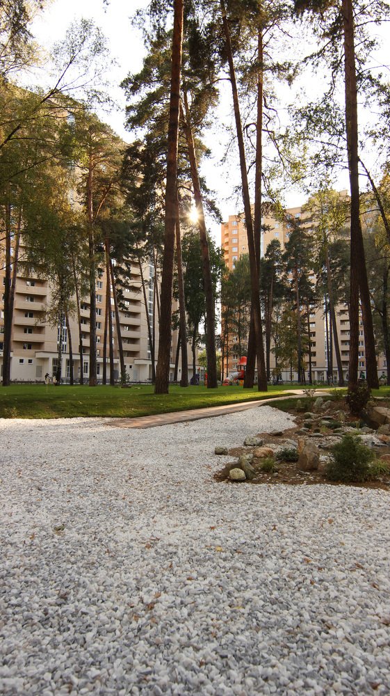 Photograph by Владимир Ясюкевич