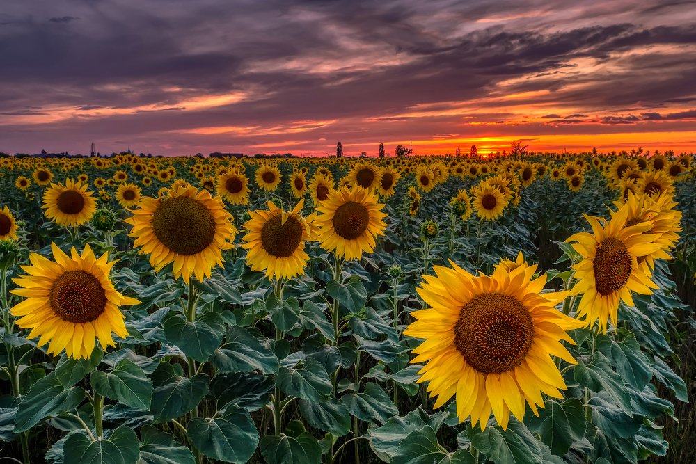 Фотография автора Stanislav Yendrek