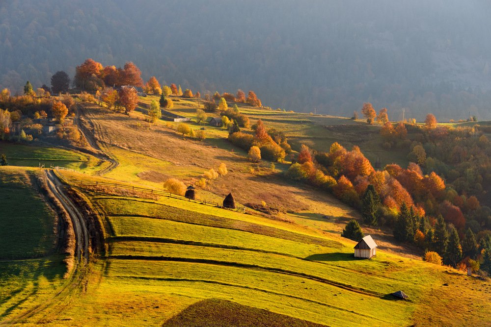 Photograph by Крицак Ольга