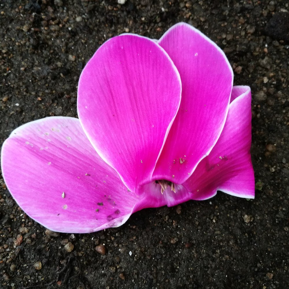 Photograph by María Julia Guzmán