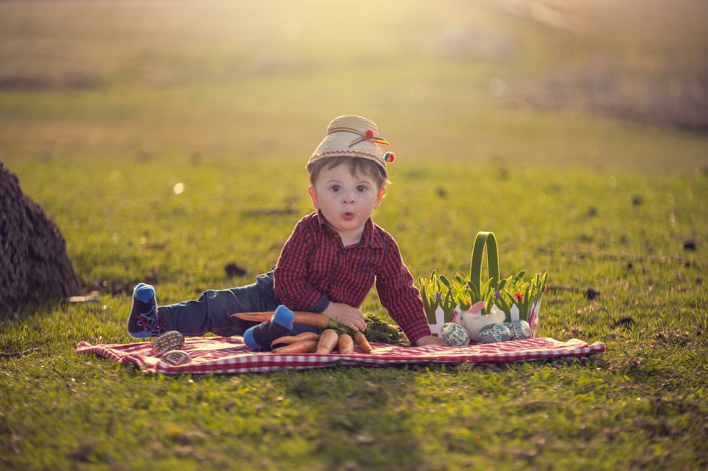 Photograph by iulian rotaru