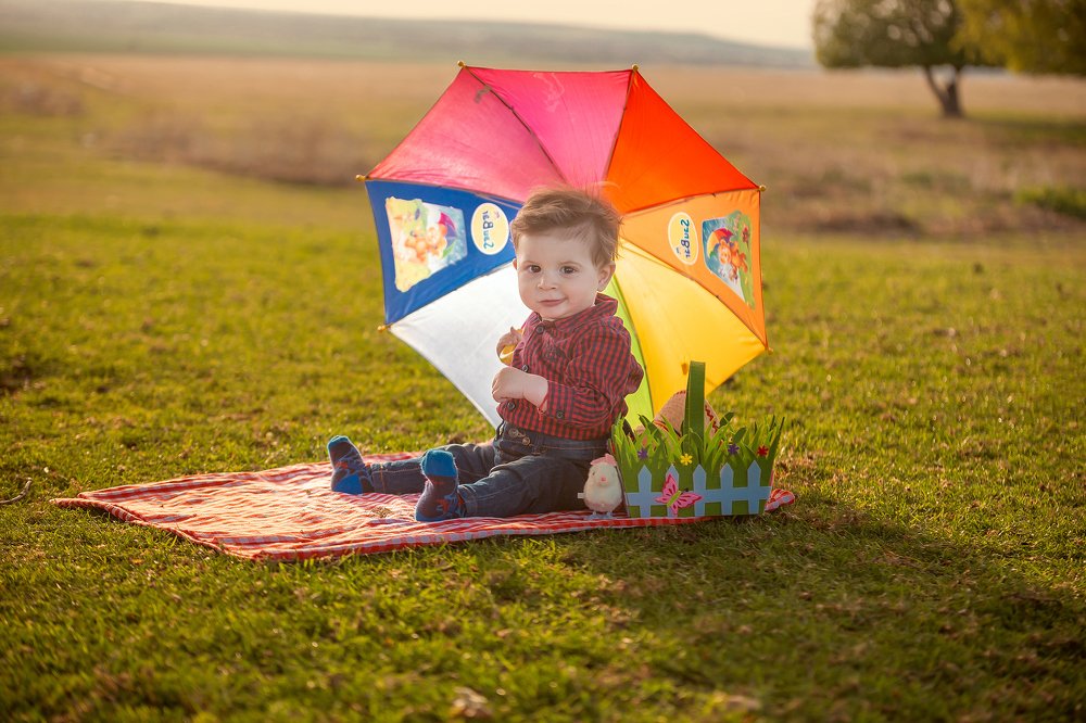 Photograph by iulian rotaru