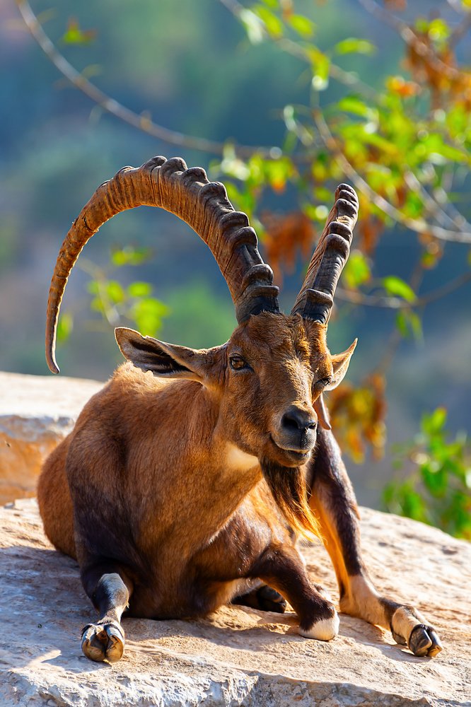 Photograph by David Lerer